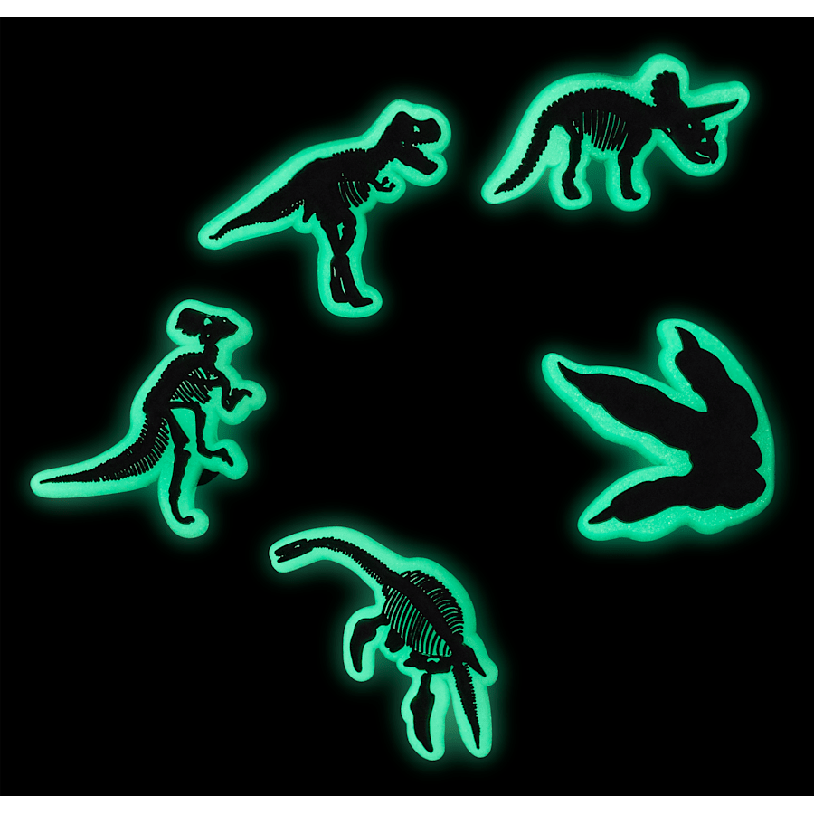 Glow In The Dark Dino 5 Pack Jibbitz Shoe Charm for Women|Men|Jibbitz™ Charms
