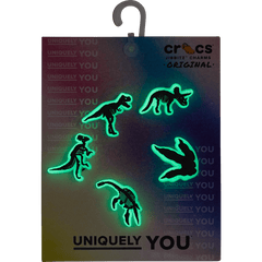 Glow In The Dark Dino 5 Pack Jibbitz Shoe Charm for Women|Men|Jibbitz™ Charms