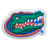 University of Florida Jibbitz™ charms for Women|Men|Jibbitz™ Charms