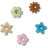 Enlighten Flower 5 Pack Jibbitz™ charms for Women|Men|Jibbitz™ Charms