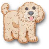 b'Golden Doodle Puppy Jibbitz Shoe Charm' for Women|Men|Jibbitz™ Charms