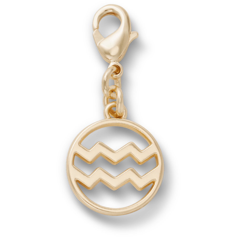 Aquarius Charm Jibbitz™ charms for Women|Men|Kids|Jibbitz™ Charms