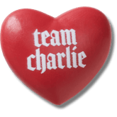 The Twilight Saga Team Charlie Jibbitz Shoe Charm for Women|Men|Kids|Jibbitz™ Charms