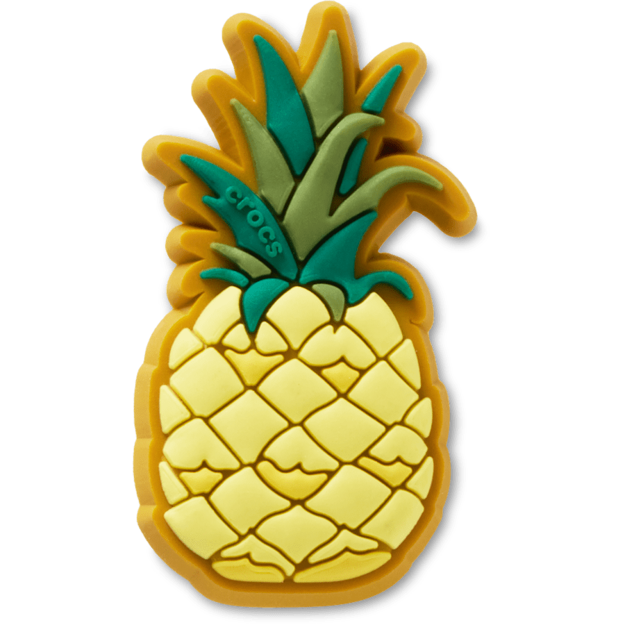 Perfect Pineapple Jibbitz™ charms for Women|Men