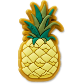 Perfect Pineapple Jibbitz™ charms for Women|Men