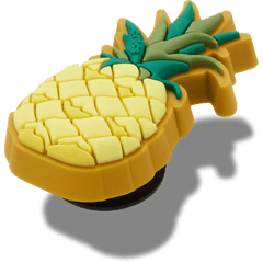 Perfect Pineapple Jibbitz™ charms for Women|Men
