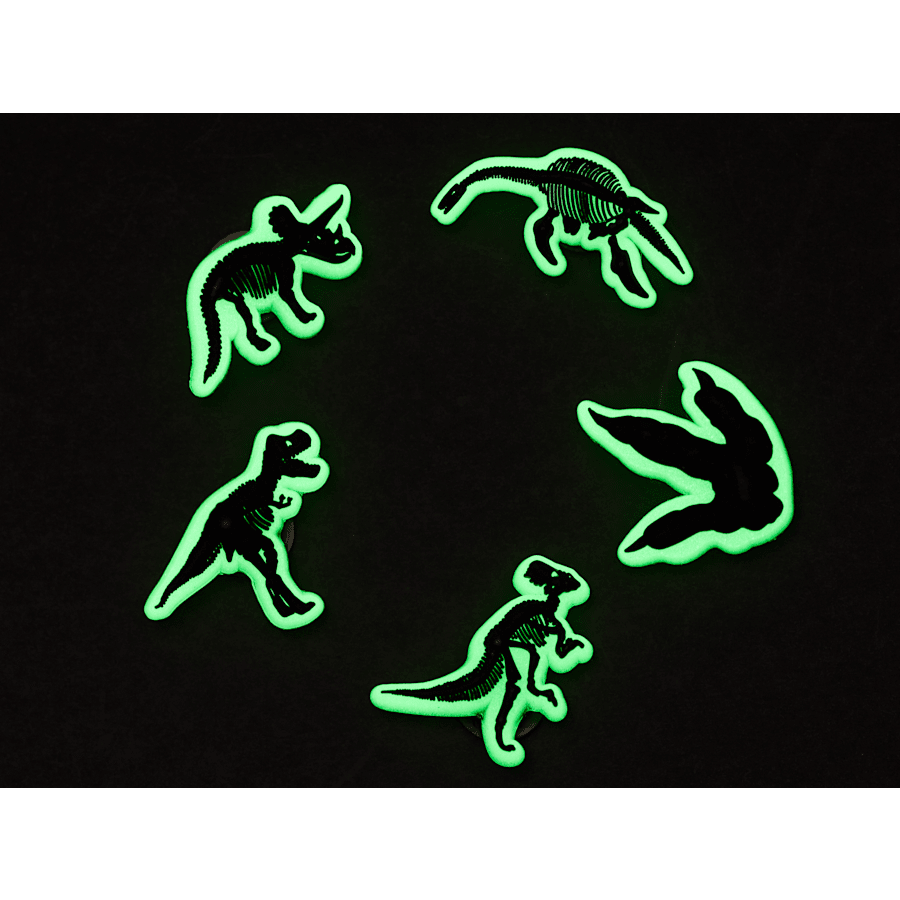 Glow In The Dark Dino 5 Pack Jibbitz Shoe Charm for Women|Men|Jibbitz™ Charms