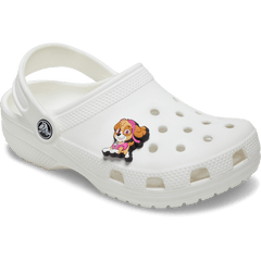Paw Patrol Skye Jibbitz™ charms for Women|Men|Kids|Jibbitz™ Charms