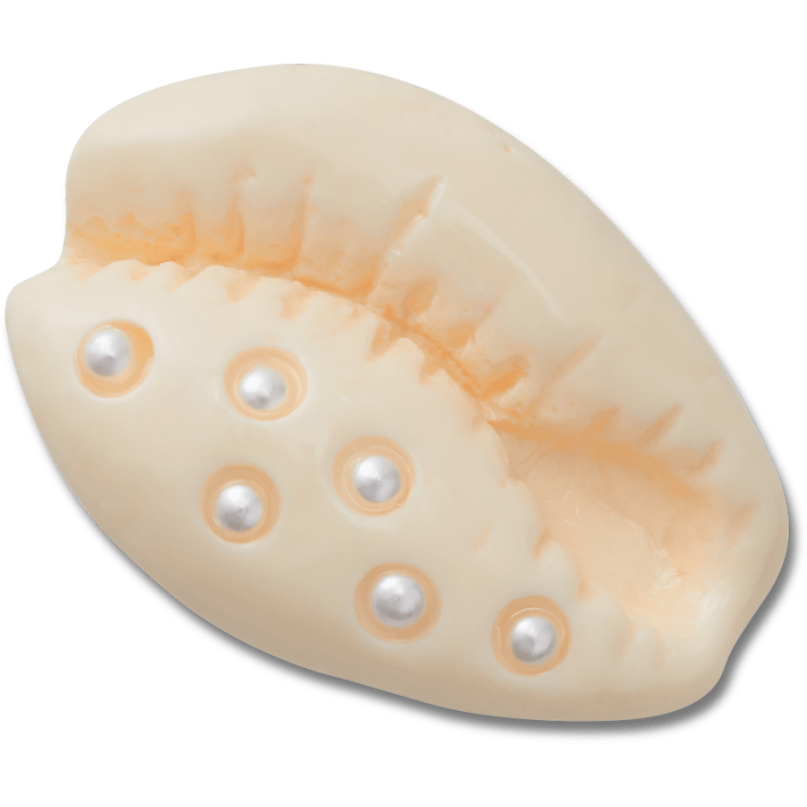 Pearl Puka Shell Jibbitz™ charms for Women|Men|Jibbitz™ Charms