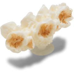 Realistic Popcorn 2 Jibbitz™ charms for Women|Men