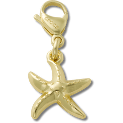 Gold Starfish Charm Jibbitz charm for Women|Men|Kids