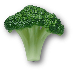 Realistic Broccoli Jibbitz™ charms for Women|Men|Jibbitz™ Charms
