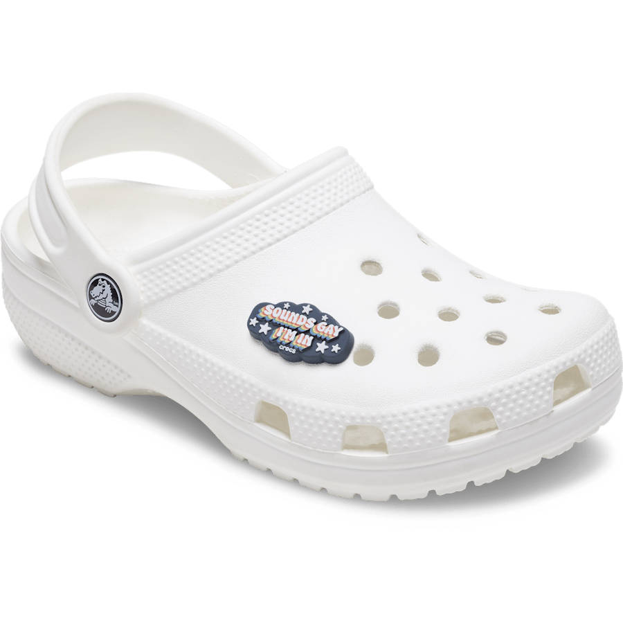 Sounds Gay Im In Jibbitz™ charms for Women|Men