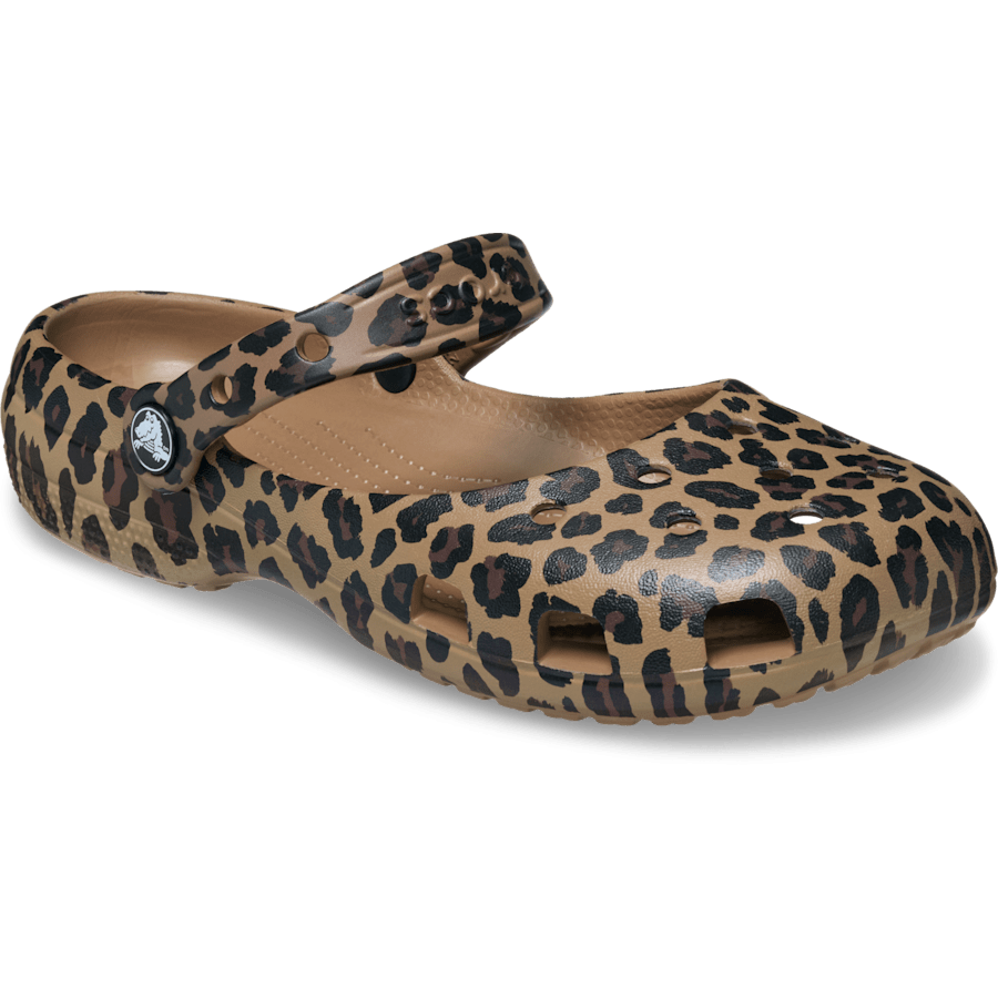 Classic Animal Ballet for Women